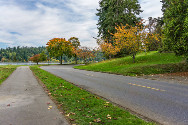 istock Autumn Seattle Street 2 1351703237