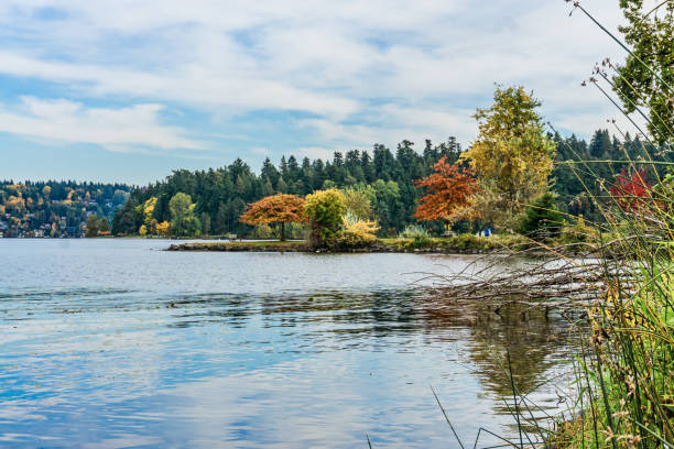 istock Smooth Water Autumn Colors 2 1351703238