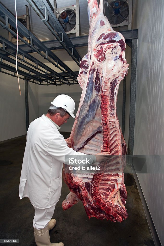 Veterinário inspeciona carne - Foto de stock de Carne royalty-free