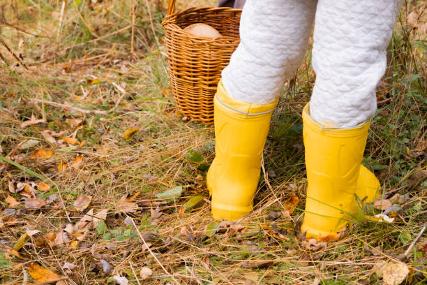 istock Yellow rubber boots and wicker basket. Autumn concept. 1351708948