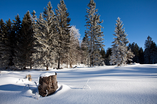 Scenic winter landscape.
