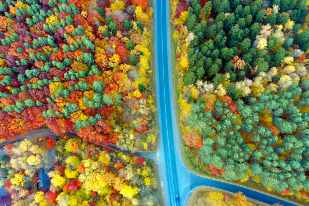 Mountain roads near Yaremche in the Carpathians, Ukraine, autumn beech and coniferous forest, beautiful mountain landscape. Aerial view drone copter