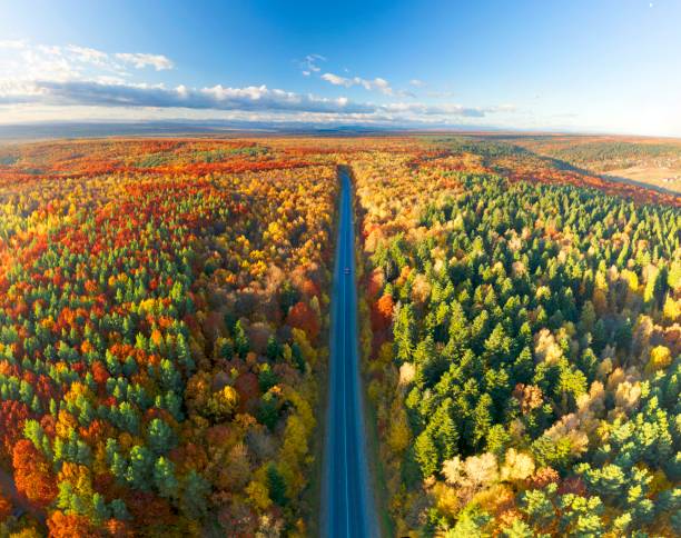 istock Road Carpathians autumn mountains 1351711438