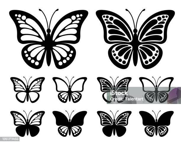 Ilustración de Contornos De Mariposas Con Alas De Monarca y más Vectores Libres de Derechos de Mariposa - Lepidópteros - Mariposa - Lepidópteros, Mariposa monarca, Vector