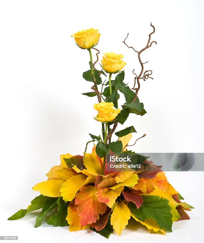 Arreglo floral - Foto de stock de Amarillo - Color libre de derechos