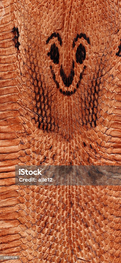 Schlangenleder - Lizenzfrei Dekoration Stock-Foto