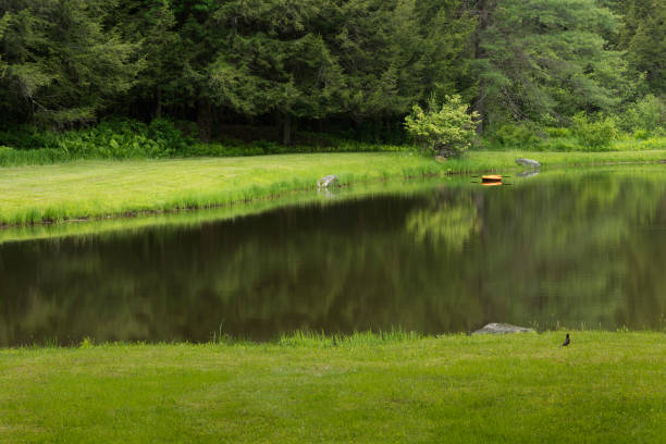 istock Landscape with a Small Pond, Vermont 1351712831