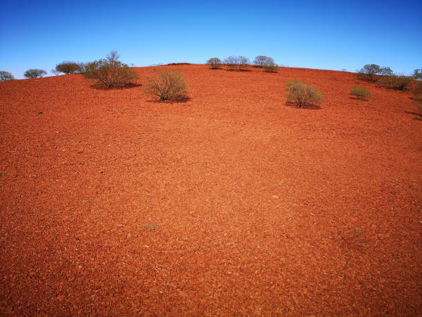 Landscape image Ashburton Downs Rd July 2021