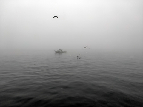 boats in the sea on foggy day