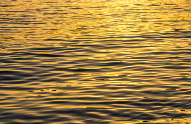 istock Golden sea waves in sunset glow as surface background. Summer holidays concept 1351715730