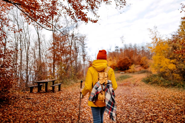 istock Active woman hiking through the forest on sunny autumn day 1351716603