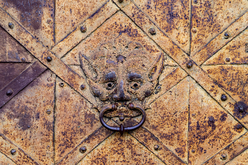 Fragmento de una vieja puerta de hierro oxidada con un golpeador de puerta en forma de cabeza de león. photo