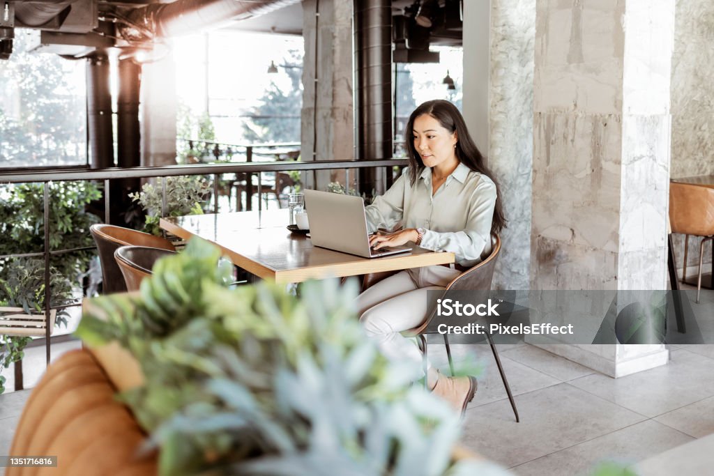 She's devoted to her career Focused Mongolian business woman sit on cafe working on laptop, concentrated serious asian female working with computer and notebook in coffee shop, freelancer, studying online, browse internet, checking bills Elegance Stock Photo