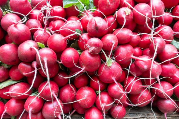 pila de rábano rojo - radish fotografías e imágenes de stock