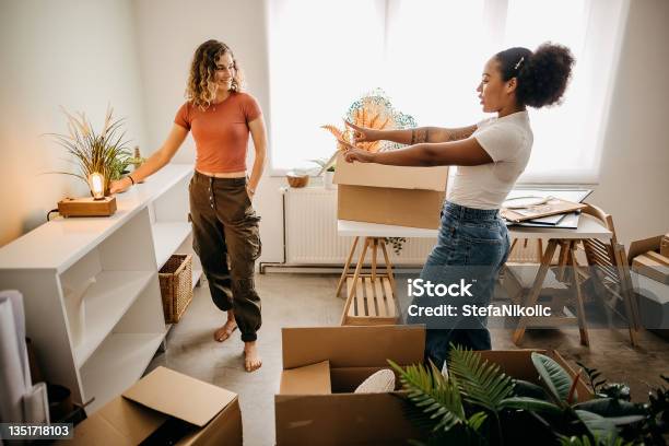 We Start Living Together Stock Photo - Download Image Now - Apartment, College Dorm, Renting