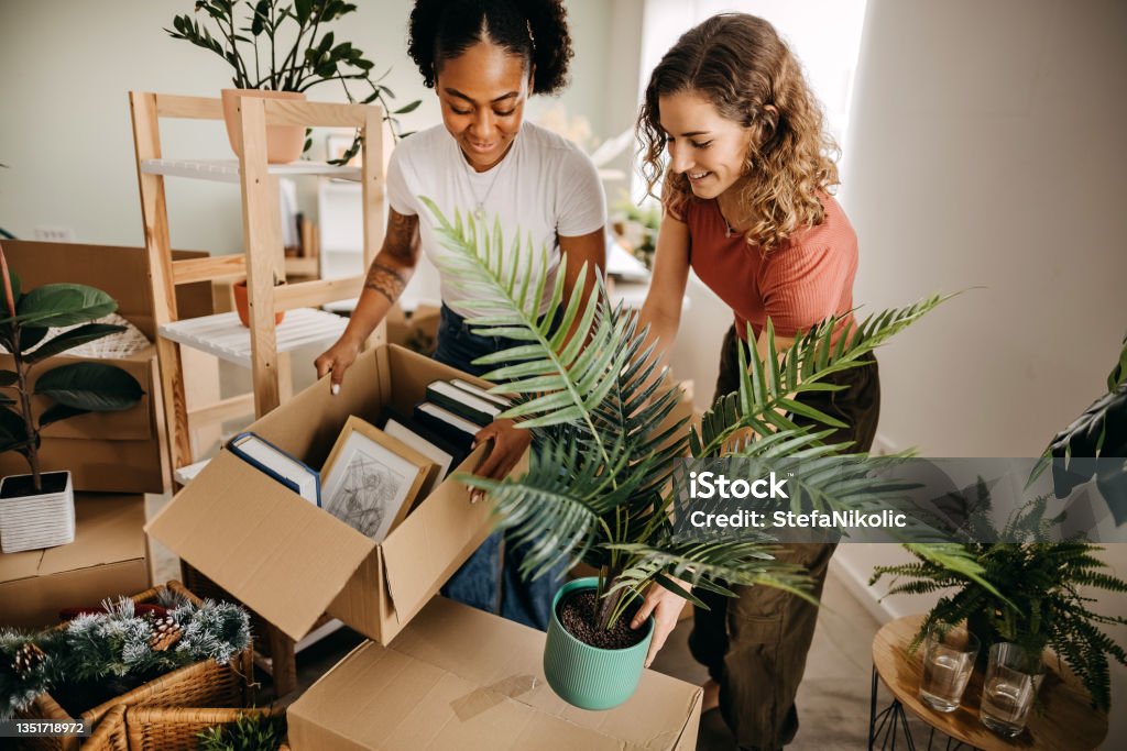Our home will be full of love and happiness Two friends are furnishing their home together, where they will live together Moving House Stock Photo