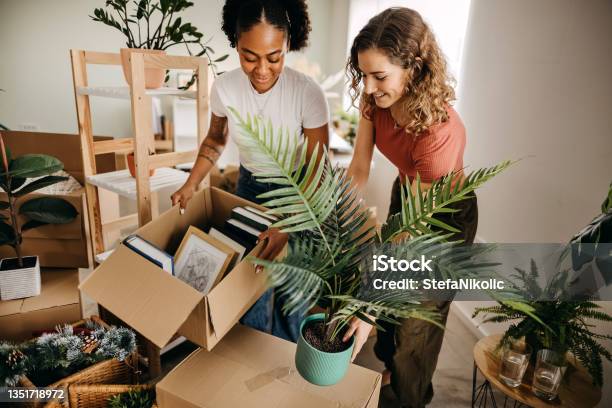 Our Home Will Be Full Of Love And Happiness Stock Photo - Download Image Now - Moving House, Relocation, Home Ownership