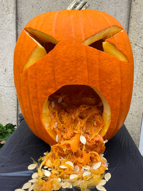 Close-up image of carved pumpkin head outside front door, scary Halloween face Jack O'Lantern with hollowed out flesh and seeds spilling out mouth like vomit, focus on foreground Stock photo showing a carved pumpkin head on the night of Halloween - All Hallow's Eve. A scary face has been cut into the hollowed out pumpkin, which has been left outside of the front door ready to be lit to scare away the witches, spooks, ghosts and ghouls. A pumpkin by the front door also indicates that the house is happy to accept Trick or Treaters / children dressed up for a night of Trick or Treat / Treating. throwing up pumpkin stock pictures, royalty-free photos & images