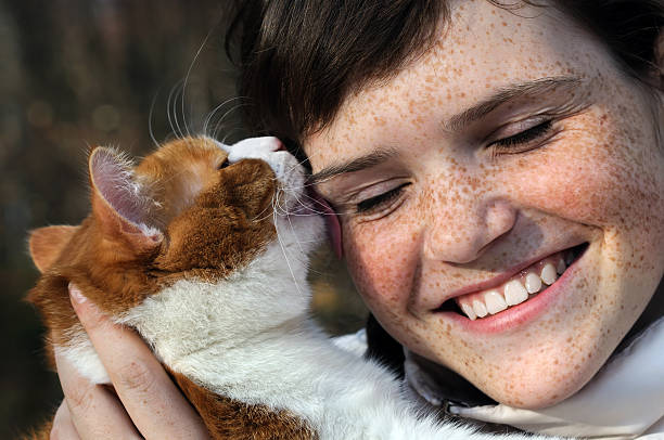 happy freckled girl and funny red cat stock photo