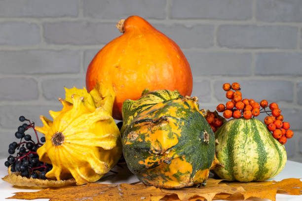 Autumn still life. Decorative pumpkins with yellow leaves. berries on the background of a white brick wall. stock photo