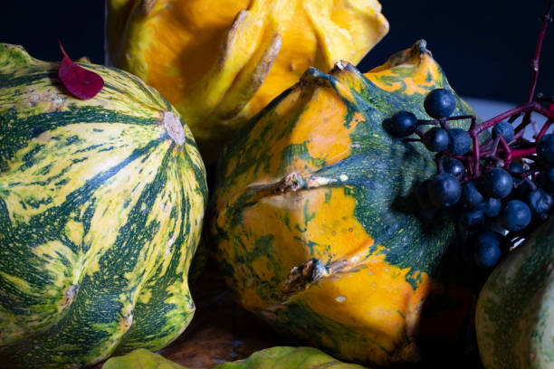 Autumn still life with decorative pumpkins with yellow leaves. berries on a black background. Close-up. stock photo