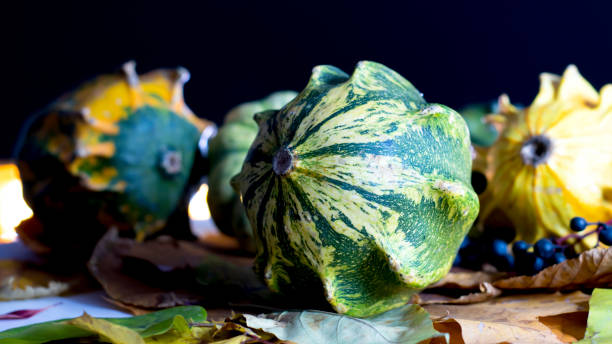 Autumn still life with a decorative green striped pumpkin in the foreground, with fallen leaves, pumpkins, berries in the background. Black background. Close-up. stock photo