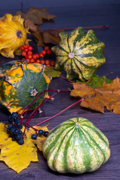 Autumn still life. Decorative green striped pumpkin in the foreground, with fallen leaves, pumpkins, berries in perspective in the background. Close-up. stock photo