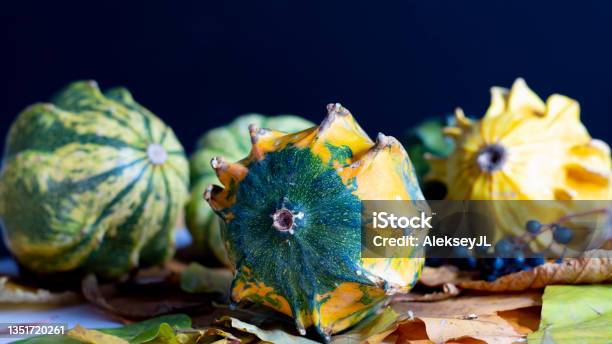 Autumn Still Life With A Decorative Colored Pumpkin In The Foreground With Fallen Leaves Pumpkins Berries In The Background Black Background Closeup Stock Photo - Download Image Now