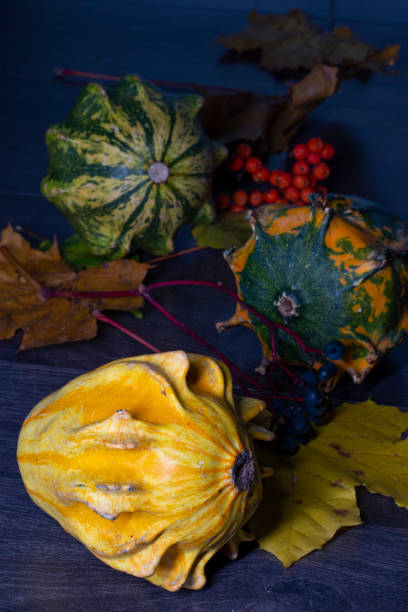 Autumn still life with a decorative yellow pumpkin in the foreground, with fallen leaves, pumpkins, berries in the background. Close-up. stock photo
