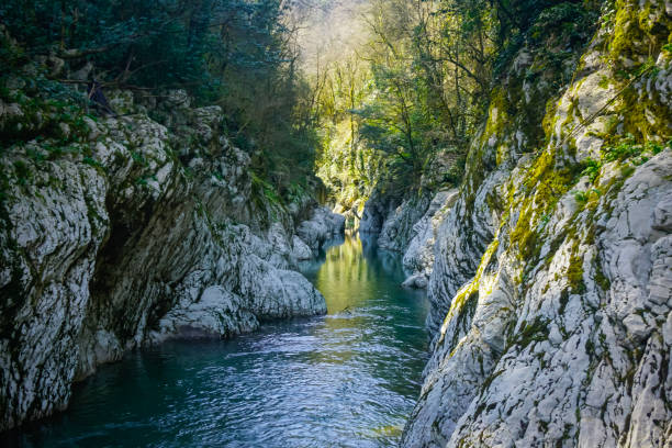 istock Beautiful mountain river in the gorge 1351720287