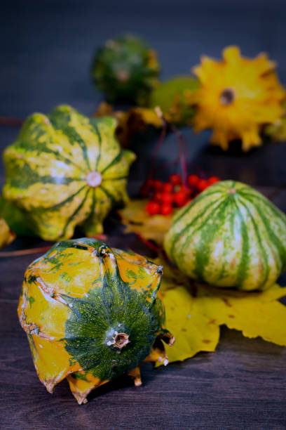 Autumn still life with a decorative yellow pumpkin in the foreground, with fallen leaves, pumpkins, berries in the background in perspective. Close-up. stock photo