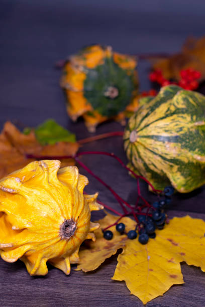 Autumn still life with a decorative yellow pumpkin in the foreground, with fallen leaves, pumpkins, berries in the background on a black background. Close-up. stock photo