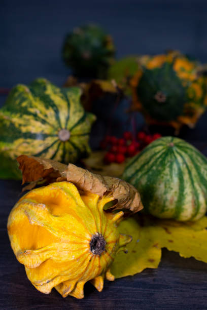 Autumn still life with a decorative yellow pumpkin in the foreground, with fallen leaves, pumpkins, berries in the background. Close-up. stock photo