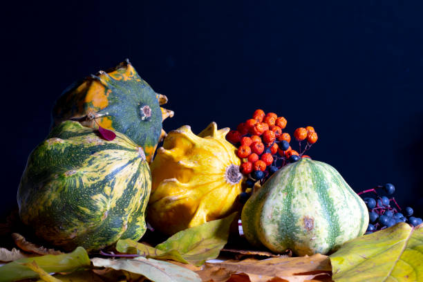 Autumn still life with decorative pumpkins with yellow leaves. berries on a black background. stock photo