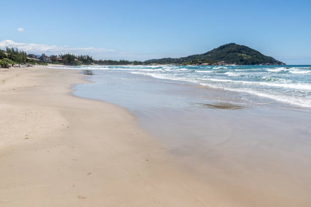 istock Mountain, sand, waves and vegetation 1351724798