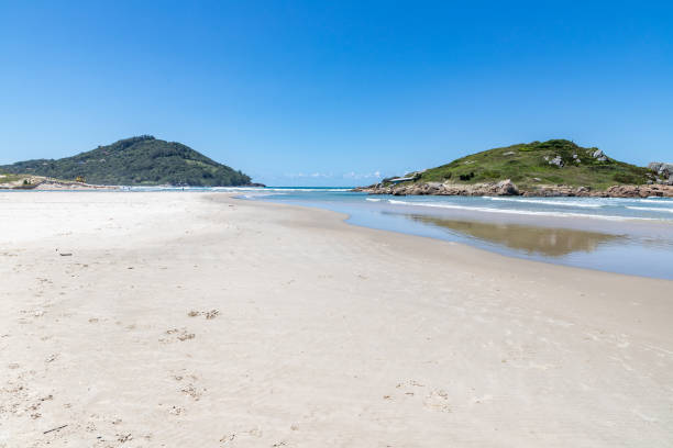 istock Small island with rocks and vegetation 1351724888