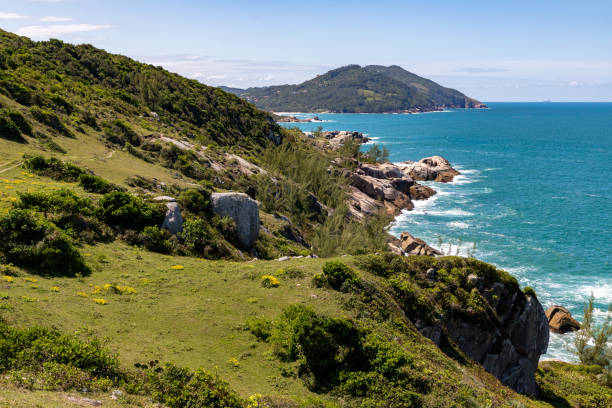 istock Trail over the cliffs with ocean in background 1351725069