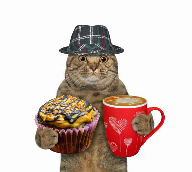 istock Cat holds orange cupcake and coffee 1351726029
