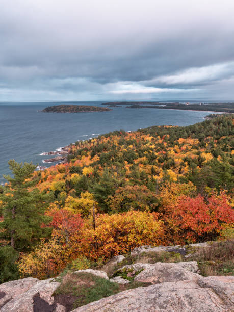 istock Fall Colors of Trees by Water 1351728657
