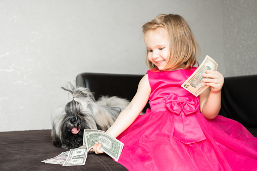 the girl is sitting on the edge of the sofa with her Shi Tsu dog and sharing money with her pet. The child smiles, she likes to count dollars
