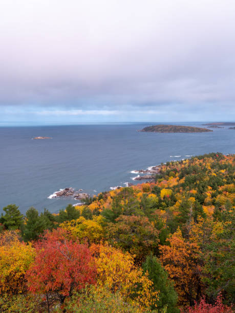 istock Fall Colors of Trees by Water 1351728796