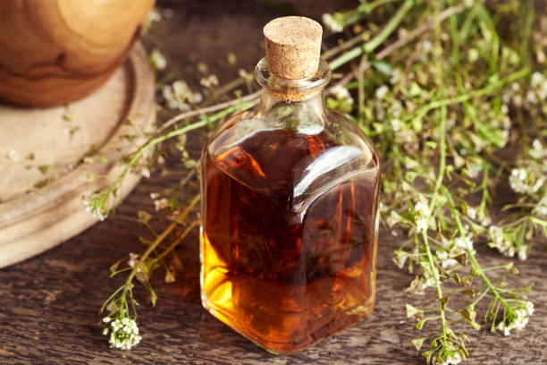istock A bottle of herbal tincture with fresh shepherd's purse 1351732152