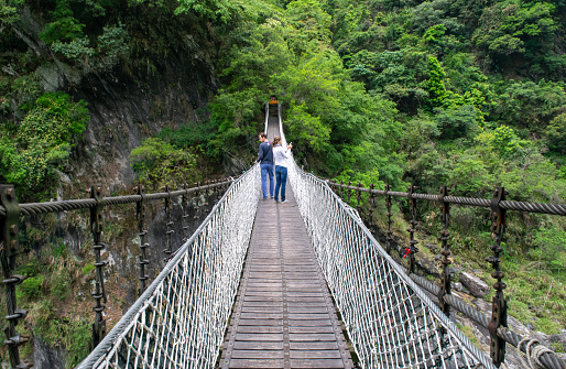 Couple Walking Across Jungle Treetop Pedestrian Bridge in Southeast Asian Forest (National Park) - Singapore