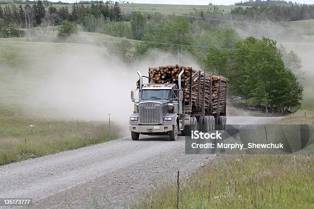 Alaggio Log Su Una Strada Di Montagna - Fotografie stock e altre immagini di Ambientazione esterna - Ambientazione esterna, Bosco, Camion articolato