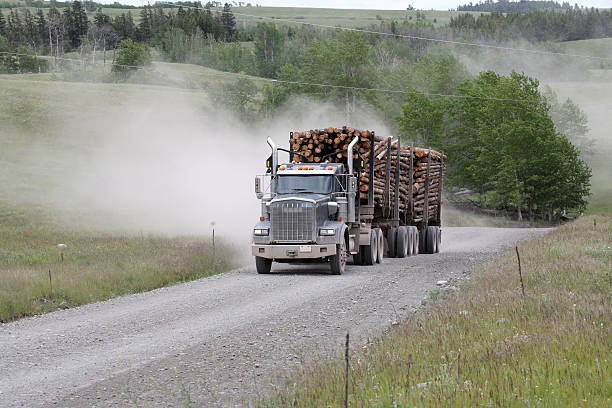 istock Hauling logs on a mountain road. 135173777