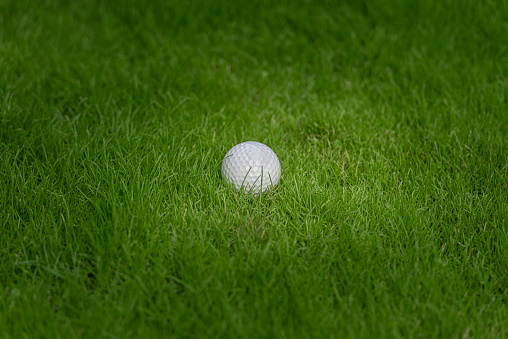 A golf ball resting on the grass.