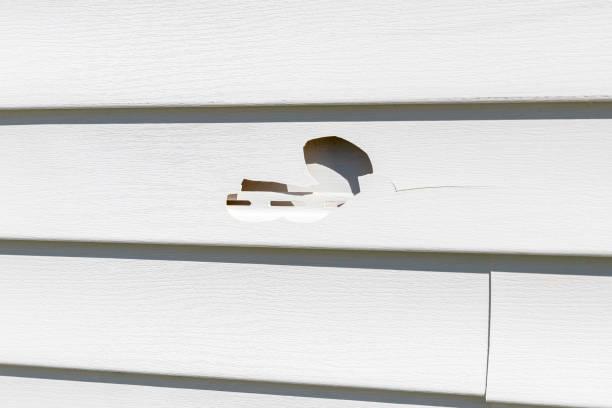hail damage to vinyl siding on house. Storm damage, home repair and insurance claim concept stock photo