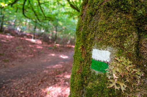 Selva de Irati in Navarra Pyrenees hiking painted sign in autumn beech forest in Spain