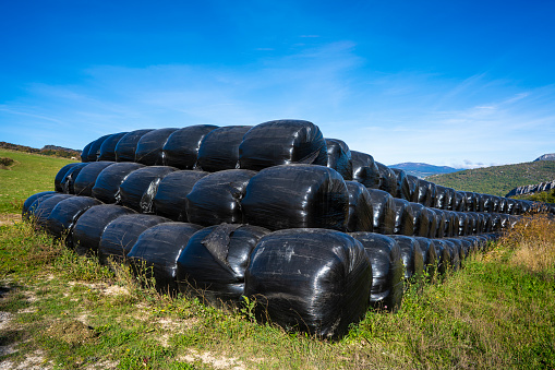 Straw bales round protected with black plastic in a row in Navarra Pyrenees of spain