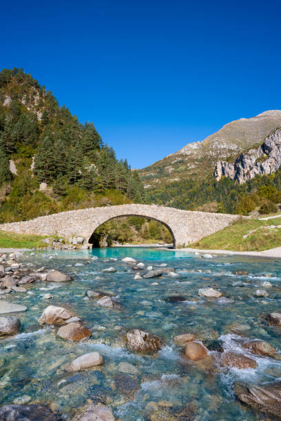 istock San Nicolas romanesque bridge Ara river Bujaruelo, Ordesa Huesca 1351744562